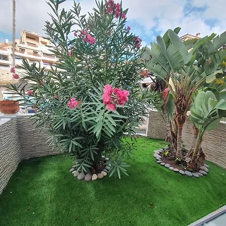 1 Bdr. In Park Albatros *